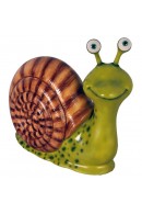 CARACOL CHICO