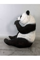 OSO PANDA