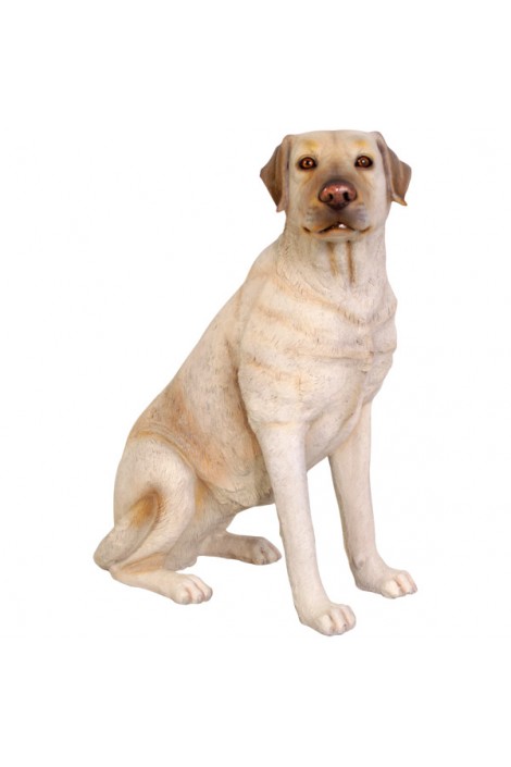 PERRO LABRADOR