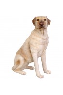 PERRO LABRADOR