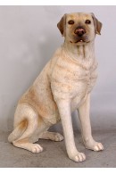 PERRO LABRADOR