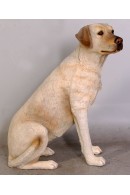 PERRO LABRADOR