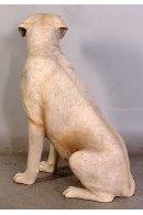 PERRO LABRADOR