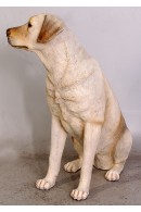 PERRO LABRADOR