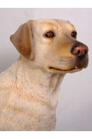 PERRO LABRADOR