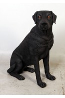 PERRO LABRADOR NEGRO