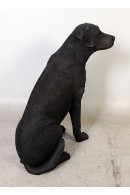 PERRO LABRADOR NEGRO