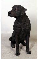 PERRO LABRADOR NEGRO