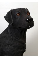 PERRO LABRADOR NEGRO