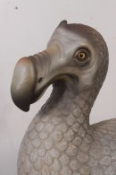 PÁJARO DODO