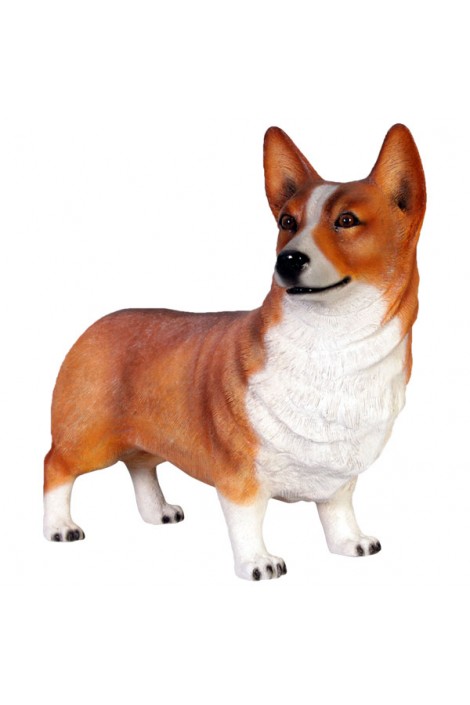 PERRO CORGI