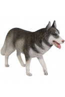 HUSKY SIBERIANO