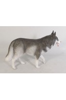 HUSKY SIBERIANO