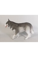 HUSKY SIBERIANO