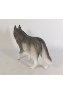 HUSKY SIBERIANO