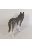 HUSKY SIBERIANO