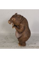 WOMBAT DIVERTIDO