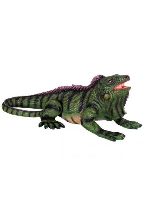 IGUANA PEQUEÑA