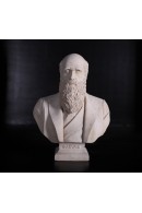 BUSTO DARWIN ACABADO PIEDRA