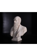 BUSTO DARWIN ACABADO PIEDRA