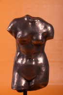 TORSO DE VENUS