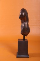 TORSO DE VENUS