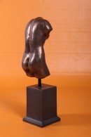 TORSO DE VENUS