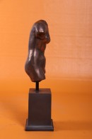 TORSO DE VENUS